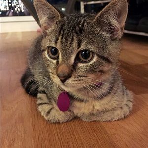 Meet your Posher, Candice